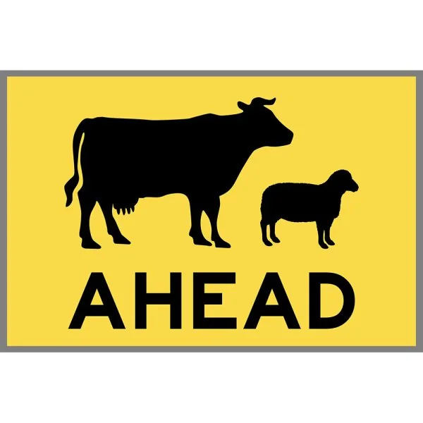 STOCK AHEAD