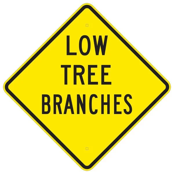 LOW TREE BRANCHES