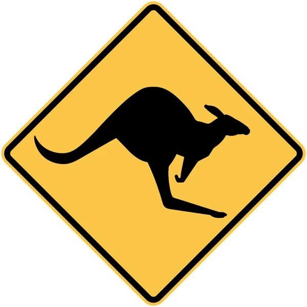 KANGAROOS