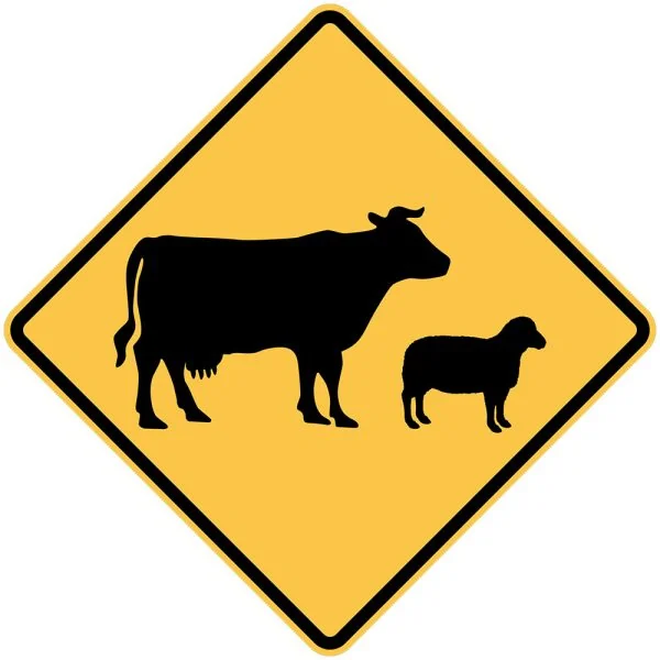 STOCK