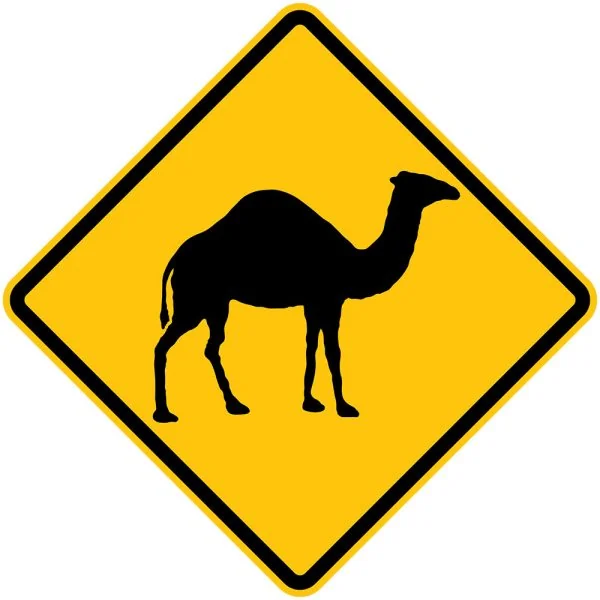 CAMEL
