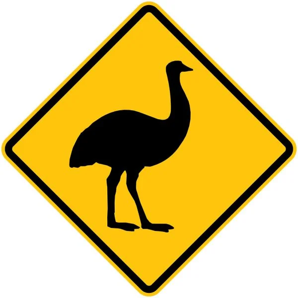 W5-45 EMU