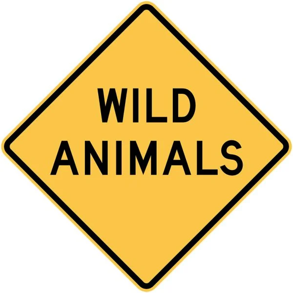 WILD ANIMALS