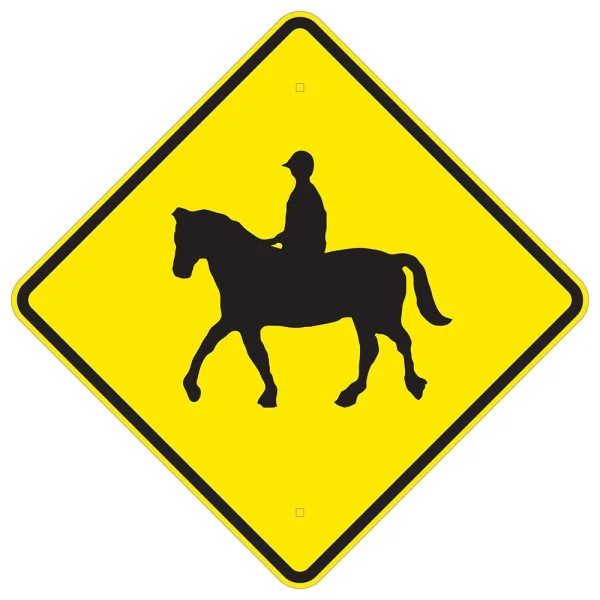 HORSE RIDER