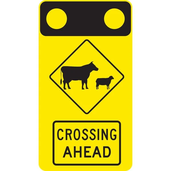 STOCK CROSSING AHEAD